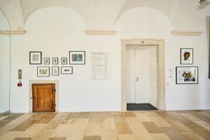 Art-Brut_Stift-Melk_1160