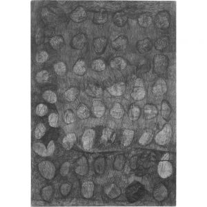 Laila Bachtiar, Ein Hase, 2010