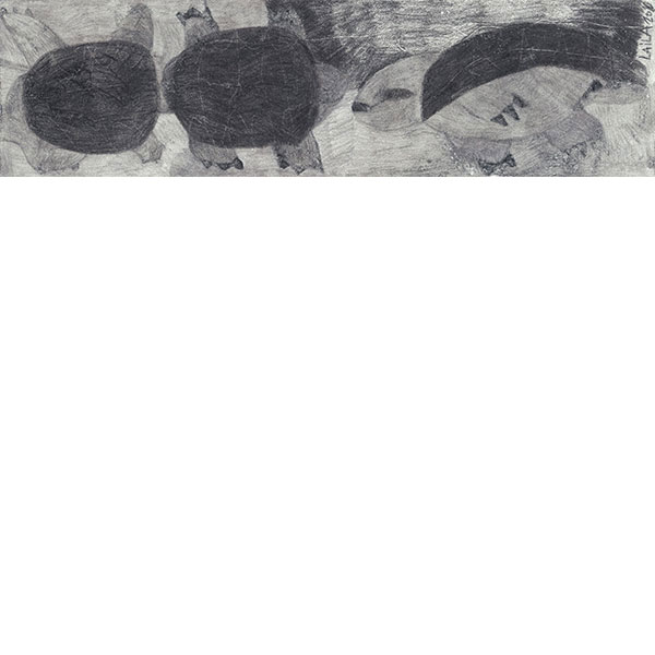 Laila Bachtiar, Schildkröten, 2003